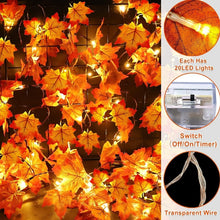 Maple Leaf Light String