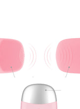 Electric Face Cleansing Brush